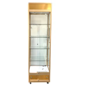 Gold Glass Display Cabinet with LED Lights & Storage