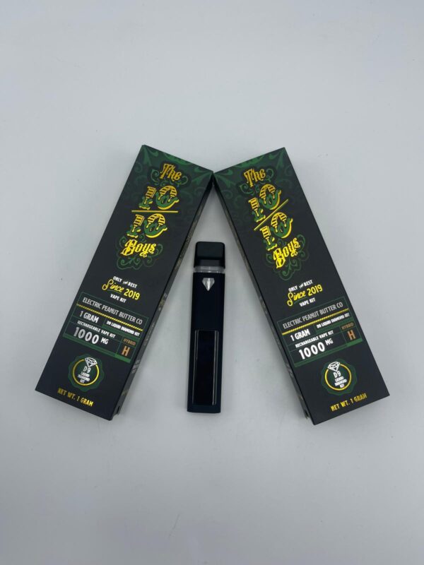 The 10/10 Boys – D9 Liquid Diamond Kit (1g) | Premium Rechargeable Empty Vape Cart Kit - Image 7