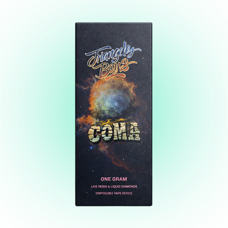 Jungle Boys 1g Empty Vape Device – Premium Hardware (10-Piece Box)