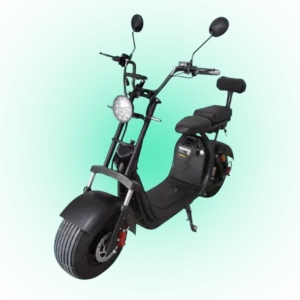 18×9.5-Inch Citycoco Electric Bike – Bold Design, Smooth Ride, City Ready- WHOLESALE