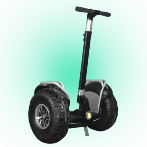 1901 Electric Scooter – Reliable. Compact. Efficient – WHOLESALE